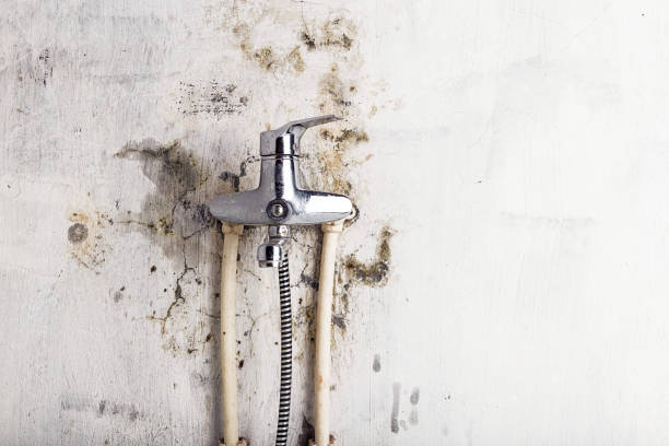 Best Mold Testing  in Ketchum, ID