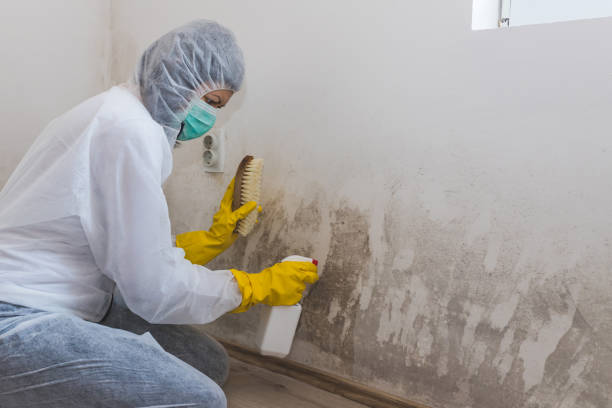 Water Damage Restoration in Ketchum, ID