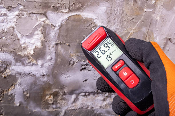 Best Professional Mold Removal  in Ketchum, ID